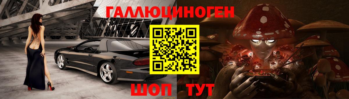 Псилоцибиновые грибы GOLDEN TEACHER Кириши